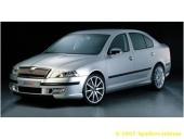 Body kit, st��brn� matn� - ABS - �koda Octavia II