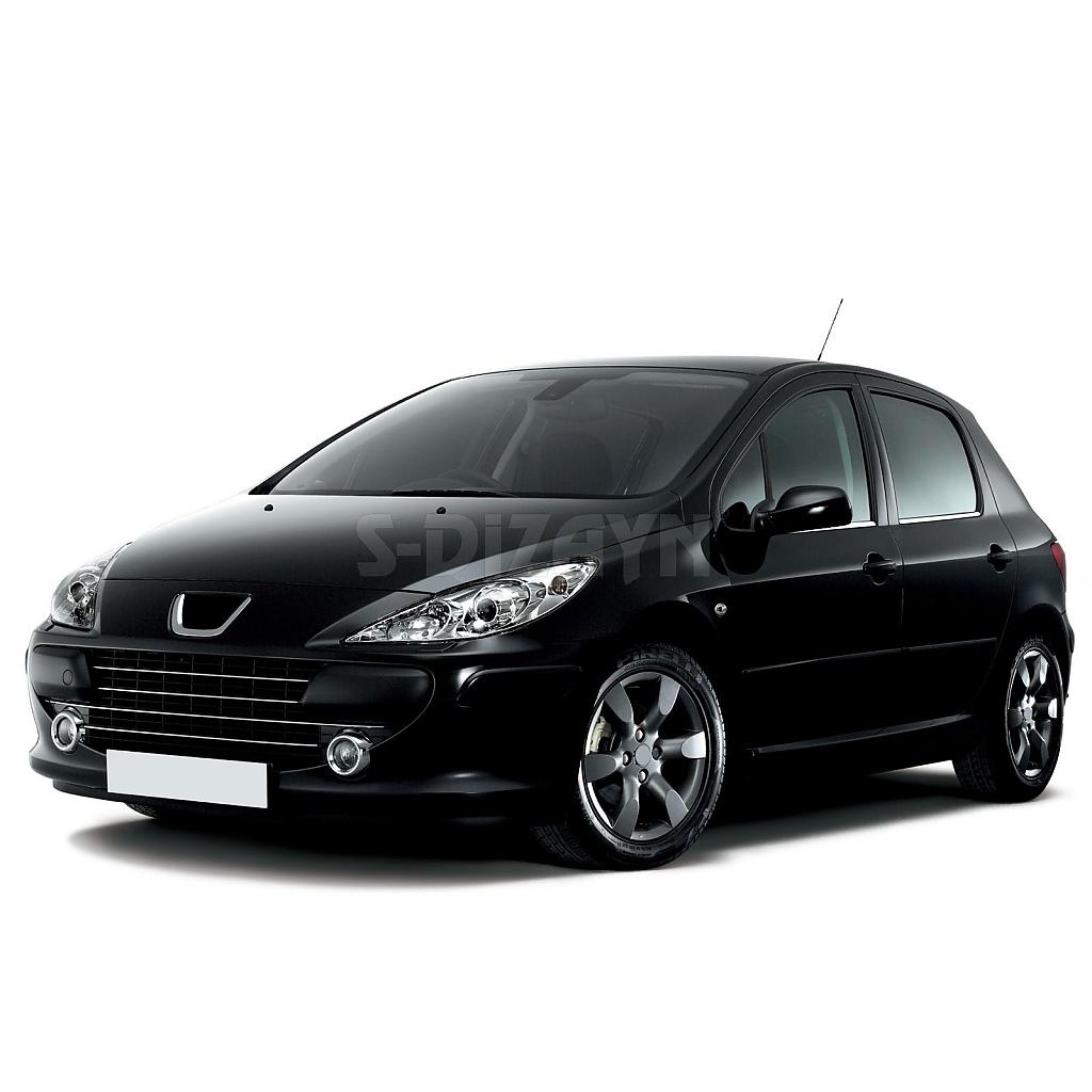 Nerez lišty spodní hrany oken dveří Peugeot 307 - Spoilercentrum ...