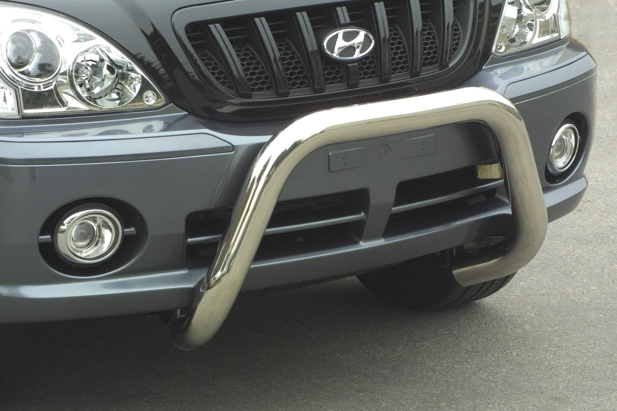 Pedn ochrann nerez rm Hyundai Terracan